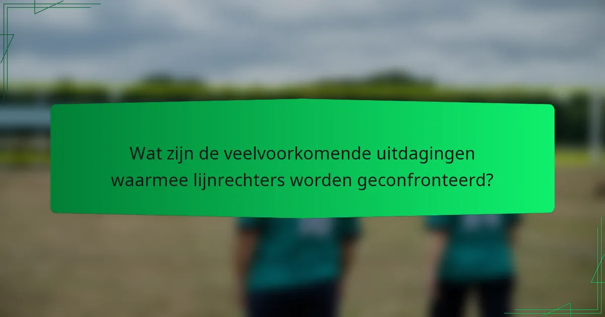 Wat zijn de veelvoorkomende uitdagingen waarmee lijnrechters worden geconfronteerd?